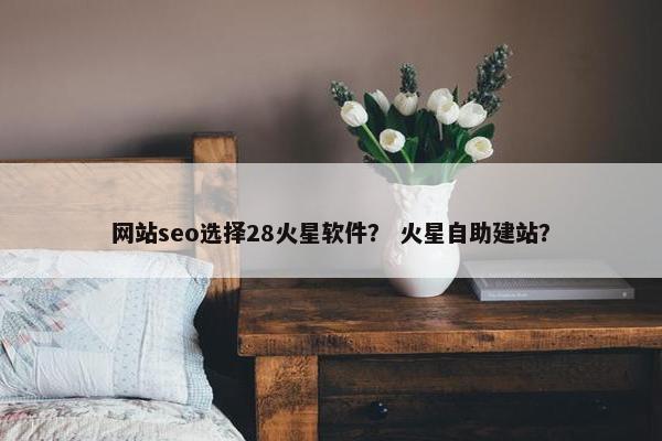 网站seo选择28火星软件？ 火星自助建站？-第1张图片-冷动云