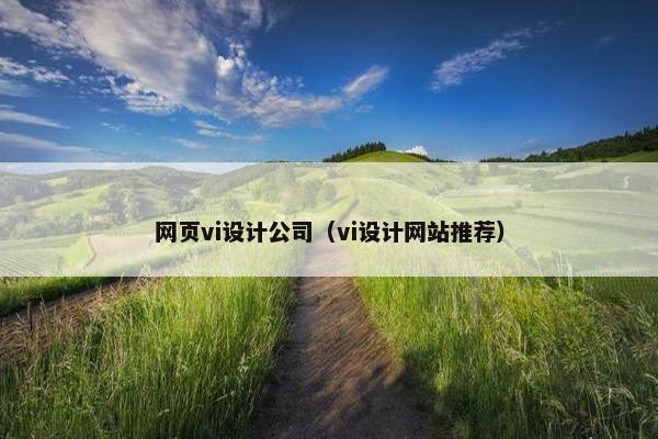网页vi设计公司（vi设计网站推荐）-第1张图片-冷动云