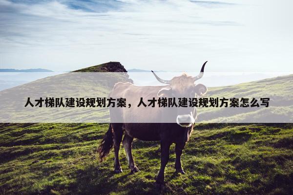 人才梯队建设规划方案，人才梯队建设规划方案怎么写-第1张图片-冷动云