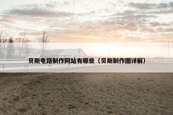 贝斯电路制作网站有哪些（贝斯制作图详解）-第1张图片-冷动云