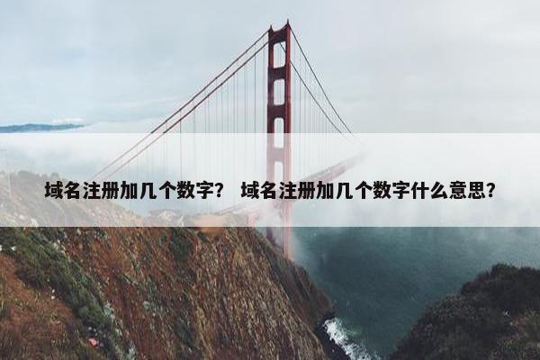 域名注册加几个数字？ 域名注册加几个数字什么意思？-第1张图片-冷动云