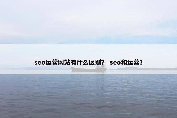 seo运营网站有什么区别？ seo和运营？-第1张图片-冷动云