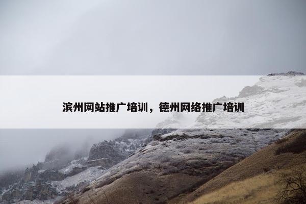 滨州网站推广培训，德州网络推广培训-第1张图片-冷动云