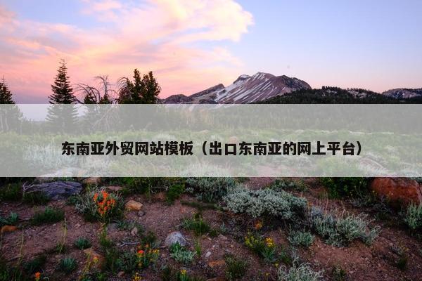 东南亚外贸网站模板（出口东南亚的网上平台）-第1张图片-冷动云