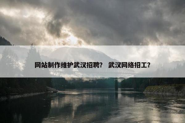 网站制作维护武汉招聘？ 武汉网络招工？-第1张图片-冷动云