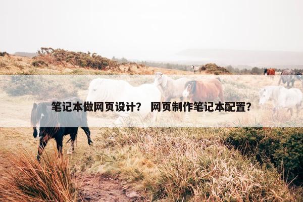笔记本做网页设计？ 网页制作笔记本配置？-第1张图片-冷动云