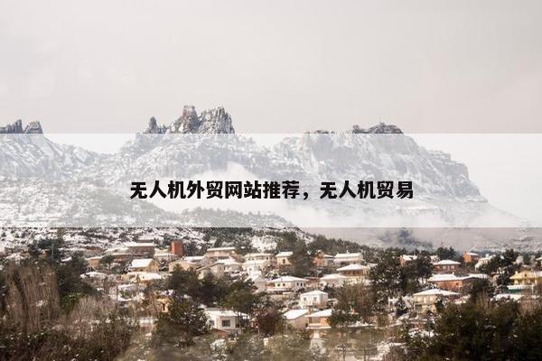 无人机外贸网站推荐，无人机贸易-第1张图片-冷动云