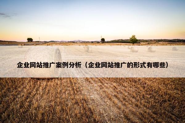 企业网站推广案例分析（企业网站推广的形式有哪些）-第1张图片-冷动云