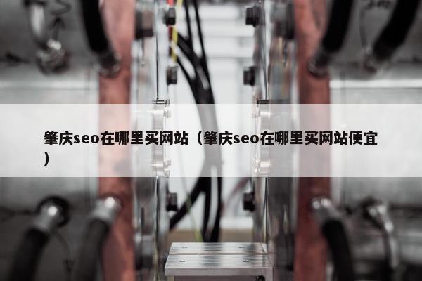 肇庆seo在哪里买网站（肇庆seo在哪里买网站便宜）-第1张图片-冷动云