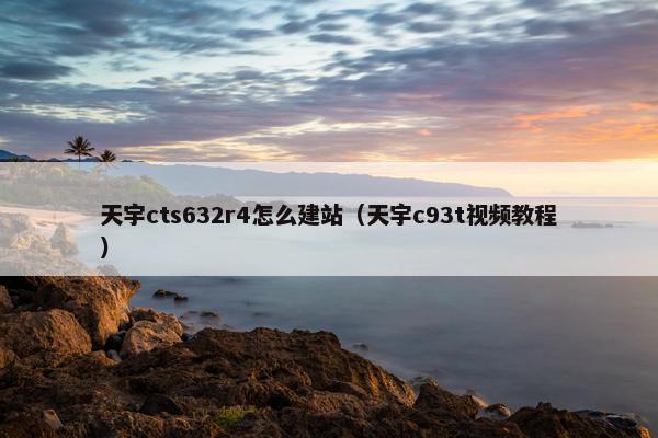 天宇cts632r4怎么建站（天宇c93t视频教程）-第1张图片-冷动云