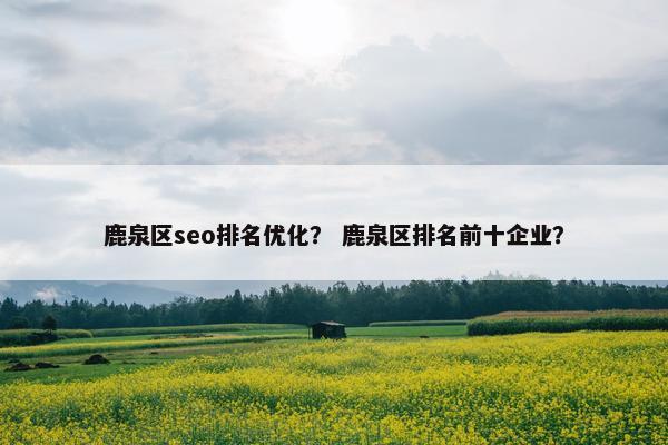 鹿泉区seo排名优化？ 鹿泉区排名前十企业？-第1张图片-冷动云