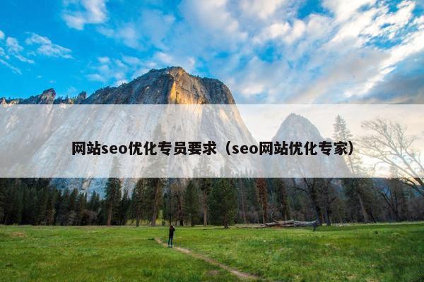 网站seo优化专员要求（seo网站优化专家）-第1张图片-冷动云