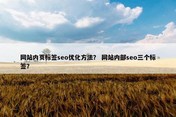 网站内页标签seo优化方法？ 网站内部seo三个标签？-第1张图片-冷动云