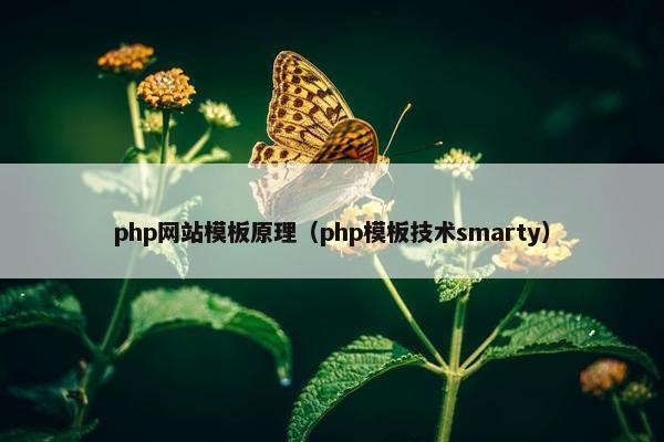 php网站模板原理（php模板技术smarty）-第1张图片-冷动云