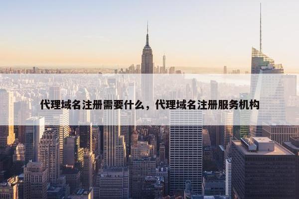 代理域名注册需要什么，代理域名注册服务机构-第1张图片-冷动云