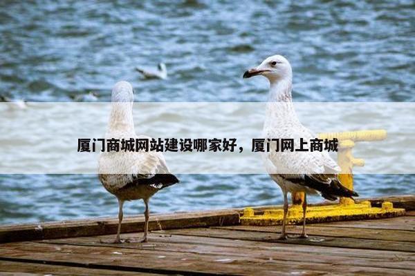 厦门商城网站建设哪家好，厦门网上商城-第1张图片-冷动云