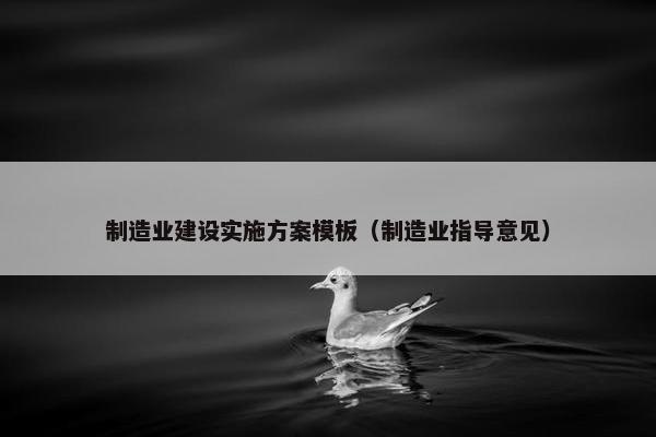 制造业建设实施方案模板（制造业指导意见）-第1张图片-冷动云
