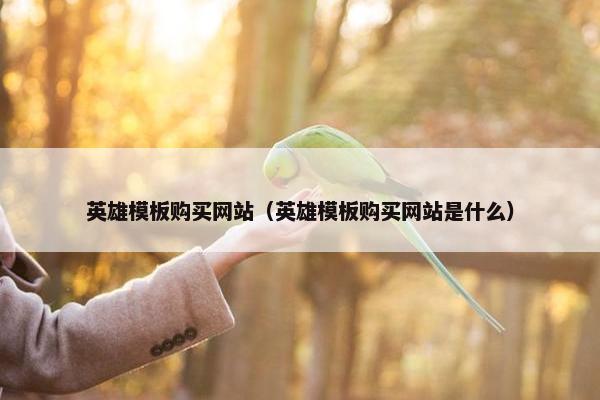 英雄模板购买网站（英雄模板购买网站是什么）-第1张图片-冷动云