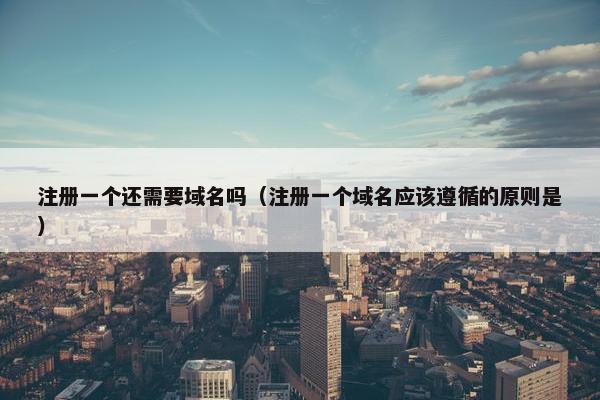 注册一个还需要域名吗（注册一个域名应该遵循的原则是）-第1张图片-冷动云