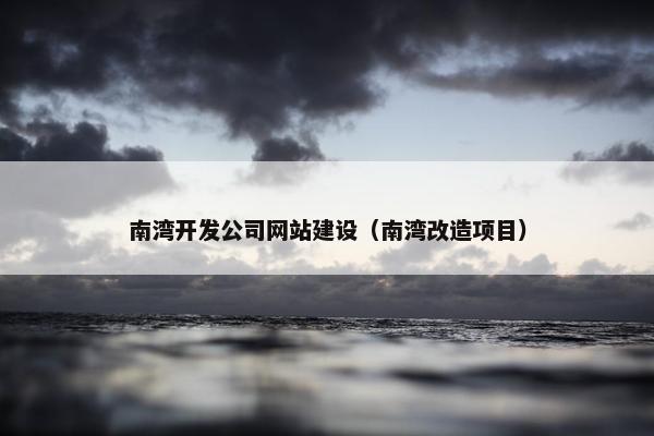 南湾开发公司网站建设（南湾改造项目）-第1张图片-冷动云