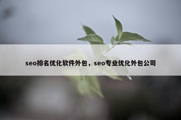seo排名优化软件外包，seo专业优化外包公司-第1张图片-冷动云