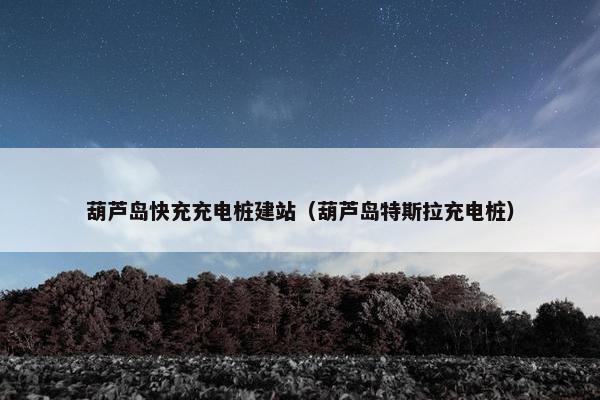 葫芦岛快充充电桩建站（葫芦岛特斯拉充电桩）-第1张图片-冷动云
