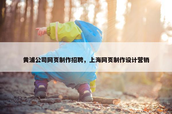 黄浦公司网页制作招聘，上海网页制作设计营销-第1张图片-冷动云