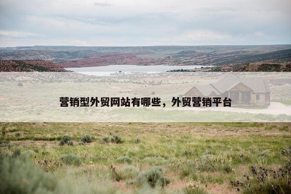 营销型外贸网站有哪些，外贸营销平台-第1张图片-冷动云