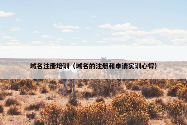 域名注册培训（域名的注册和申请实训心得）-第1张图片-冷动云