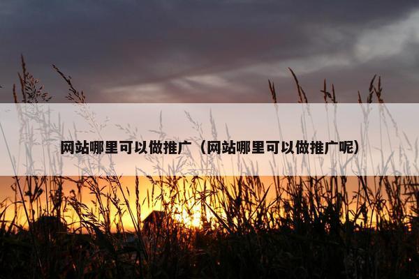网站哪里可以做推广（网站哪里可以做推广呢）-第1张图片-冷动云