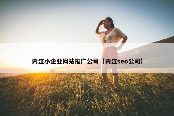 内江小企业网站推广公司（内江seo公司）-第1张图片-冷动云