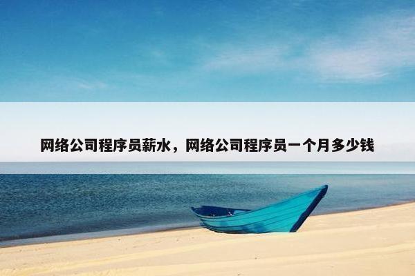 网络公司程序员薪水，网络公司程序员一个月多少钱-第1张图片-冷动云
