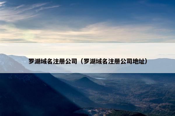 罗湖域名注册公司（罗湖域名注册公司地址）-第1张图片-冷动云