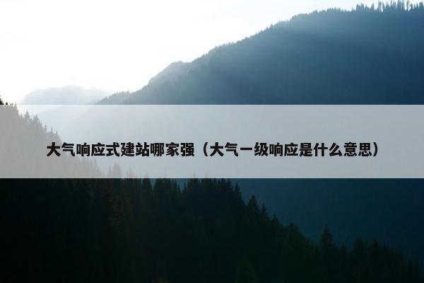 大气响应式建站哪家强（大气一级响应是什么意思）-第1张图片-冷动云