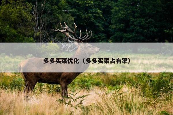 多多买菜优化（多多买菜占有率）-第1张图片-冷动云