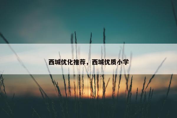西城优化推荐，西城优质小学-第1张图片-冷动云
