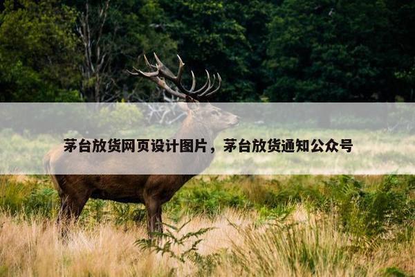 茅台放货网页设计图片，茅台放货通知公众号-第1张图片-冷动云