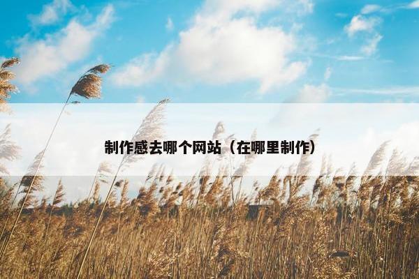 制作感去哪个网站（在哪里制作）-第1张图片-冷动云