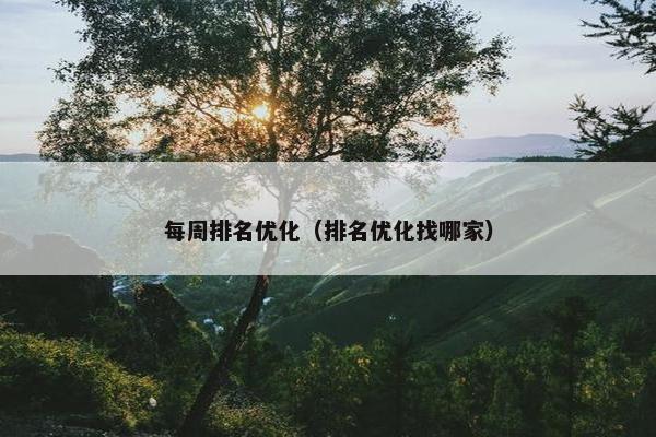 每周排名优化（排名优化找哪家）-第1张图片-冷动云