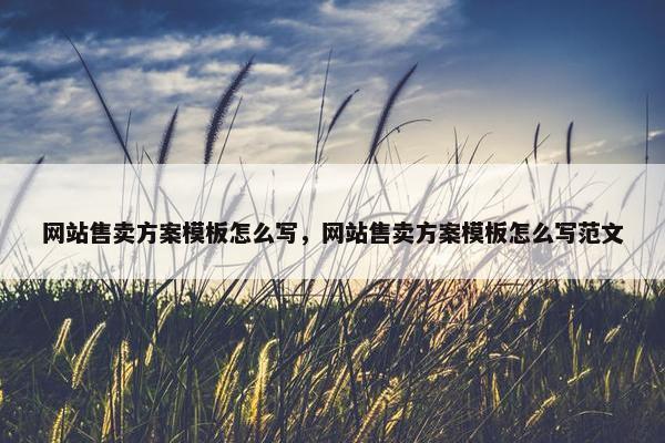 网站售卖方案模板怎么写，网站售卖方案模板怎么写范文-第1张图片-冷动云
