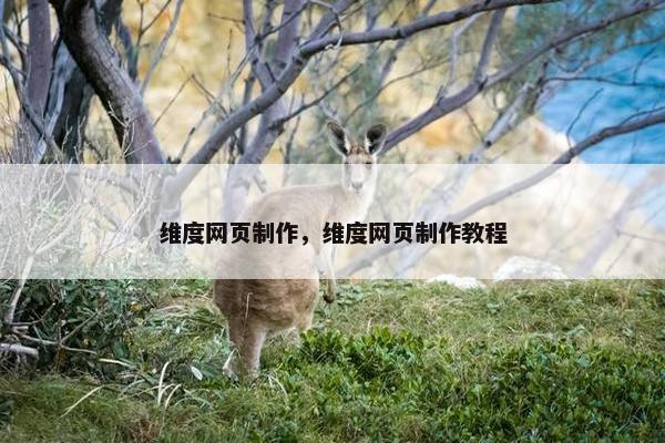 维度网页制作,维度网页制作教程-第1张图片-冷动云 维度网页制作,维度网页制作教程-第1张图片-冷动云