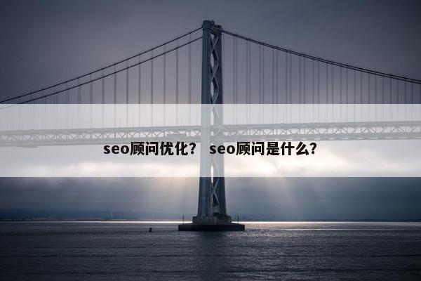 seo顾问优化? seo顾问是什么?-第1张图片-冷动云 seo顾问优化? seo顾问是什么?-第1张图片-冷动云