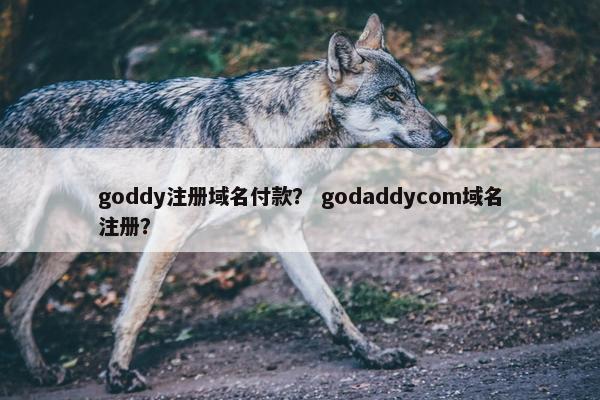 goddy注册域名付款? godaddycom域名注册?-第1张图片-冷动云 goddy注册域名付款? godaddycom域名注册?-第1张图片-冷动云