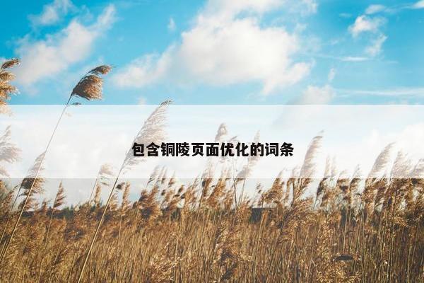 包含铜陵页面优化的词条-第1张图片-冷动云 包含铜陵页面优化的词条-第1张图片-冷动云