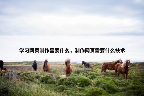 学习网页制作需要什么,制作网页需要什么技术-第1张图片-冷动云 学习网页制作需要什么,制作网页需要什么技术-第1张图片-冷动云