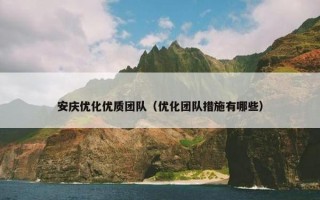 安庆优化优质团队（优化团队措施有哪些）