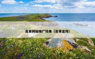 皮革网站推广效果（皮革宣传）