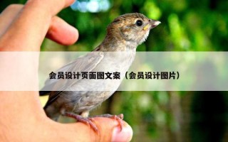会员设计页面图文案（会员设计图片）