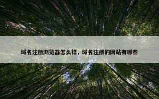 域名注册浏览器怎么样，域名注册的网站有哪些