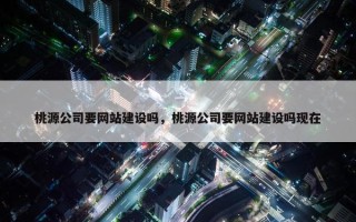 桃源公司要网站建设吗，桃源公司要网站建设吗现在